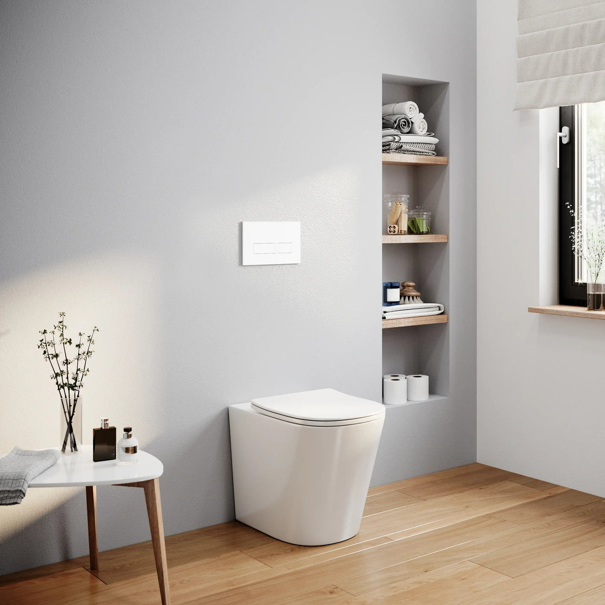 Back To Wall Toilet Set