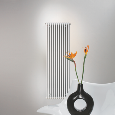 Charleston 2 Column Vertical Radiator