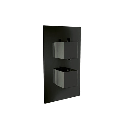 Square 1 Outlet 2 Handle Concealed Shower Valve | Matt Black