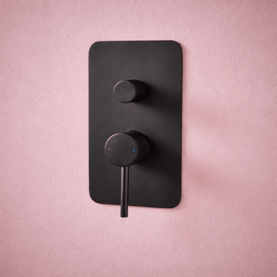 Core Manual Dual Outlet Shower Valve