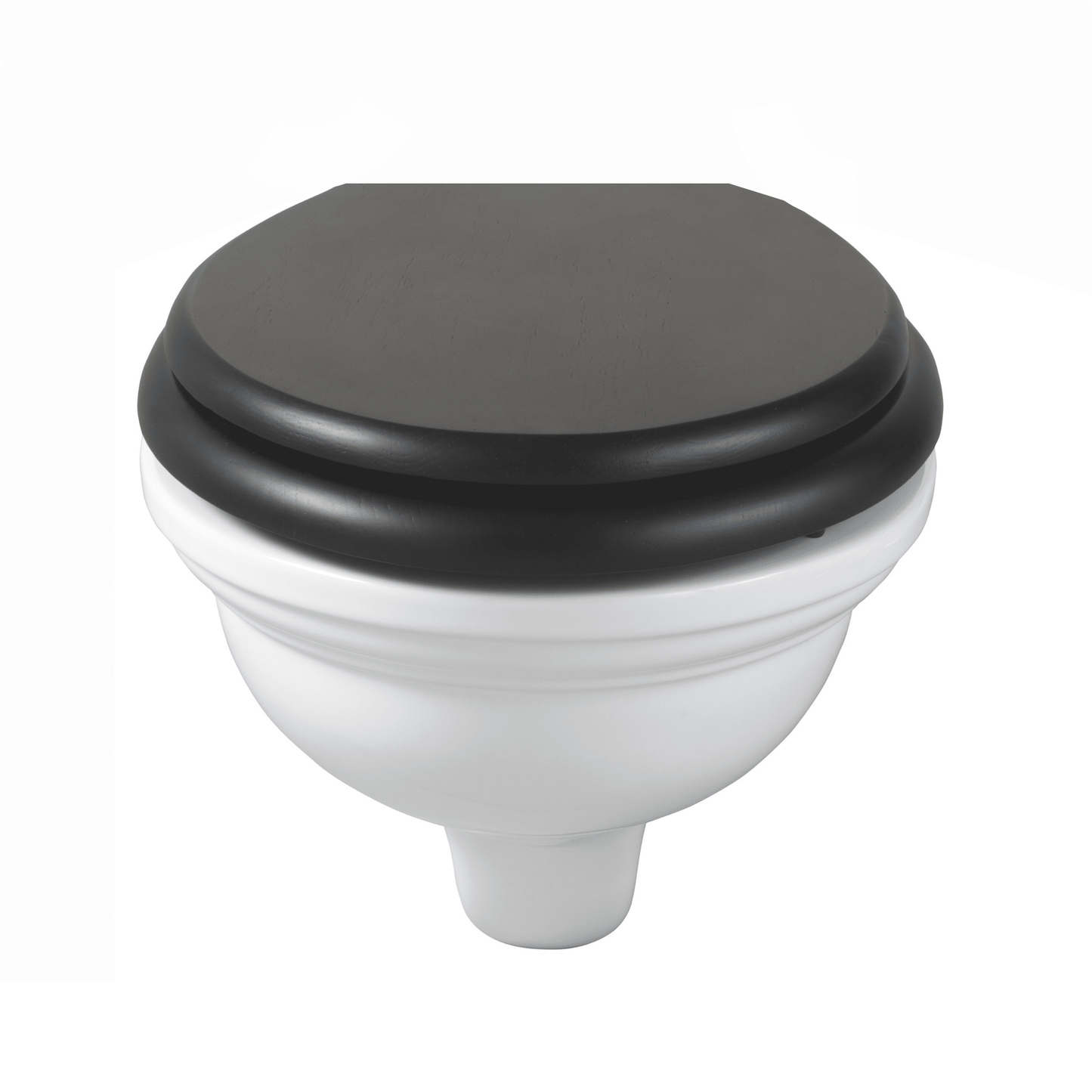  - Wall Hung Toilet & Soft Close Seat - Soaque