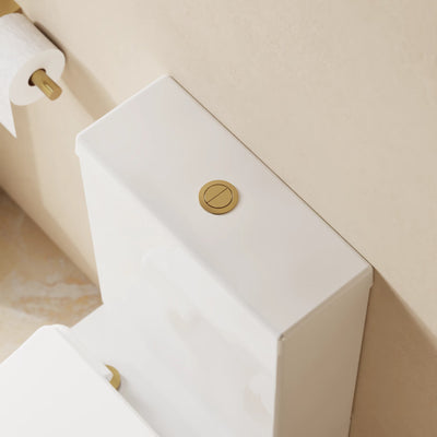 Push Button for Close Coupled WC