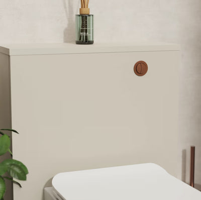 Flush Button